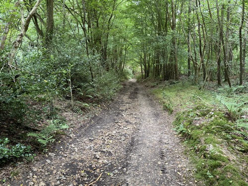 Nous sommes dans un pays de bocage, mais les passages boisés sont nombreux.