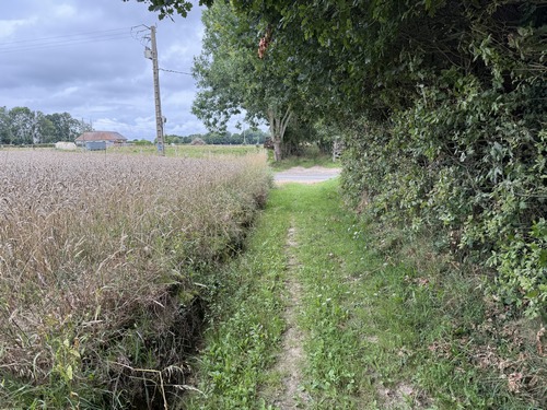 Toujours sur le Vieux Chemin de Honfleur, nous allons prendre à droite la route de la Charrière Bardel.