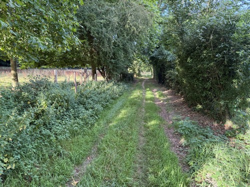 Quelques mètres après le départ, nous déjà sur le premier chemin, dans un couloir vert qui précède le bois du Chouquet.