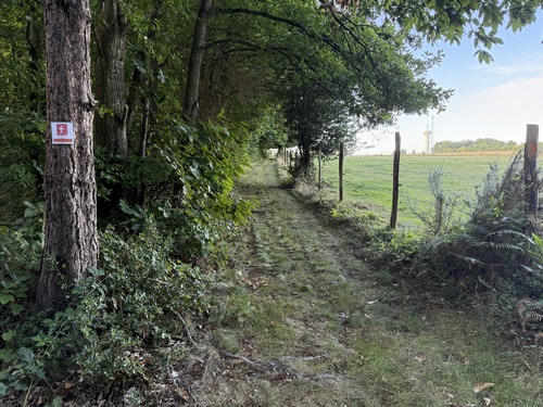On voit à gauche une balise récente de ce circuit. C'est la seule que nous verrons de ce genre. Dans la plaine, au sud du circuit, les balises oranges disparaissent totalement. Nous tournons justement vers le sud, en lisière du bois.