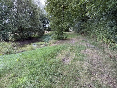 Près de la mare du Petit-Chesnay se trouve une table de pique-nique, stratégiquement placée à mi parcours de ce circuit.
