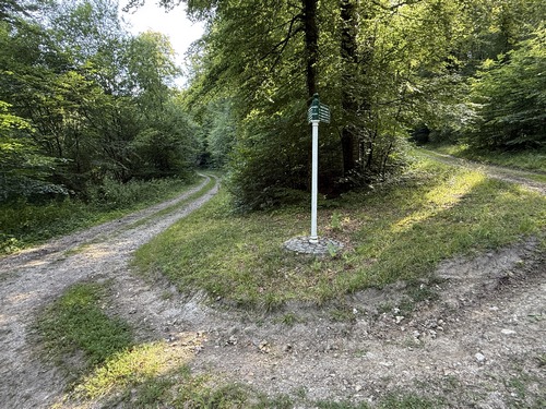 Beau virage entre la voie forestière de la Loge, à droite, et la voie forestière du Fourchet d'Orival, à gauche, celle que nous allons suivre maintenant.