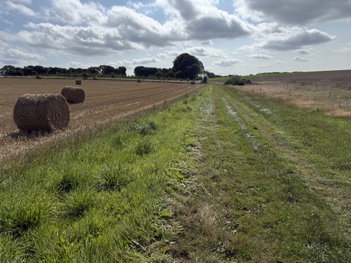 Nous avons rejoint la voie forestière des Six Frères qui, à la sortie de la forêt, se prolonge par ce chemin dans la plaine de Beauregard.