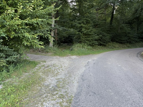 Nous sortons du bourg par la route de la Forêt (D115) et allons entrer en forêt domaniale de Lyons ici à gauche, dès la lisière.