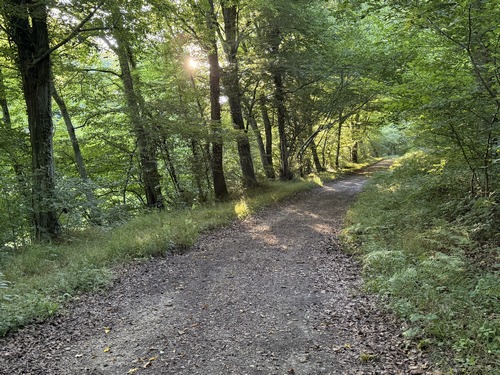 Nous suivons la voie forestière de la Marlière au Roi.