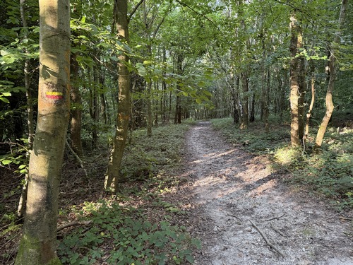 Nous descendons vers la route forestière des Pierres Cassées en suivant ce balisage jaune et rouge.