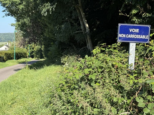 Nous descendons vers Perruel par cette "Voie non carrossable", qui est un prolongement de la rue des Elingues, et l'ancienne voie de liaison entre Perruel et les Hogues.