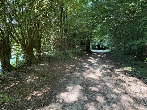 La voie non carrossable nous convient parfaitement, elle est bordée d'anciens arbres têtards, ce qui ajoute à son charme.