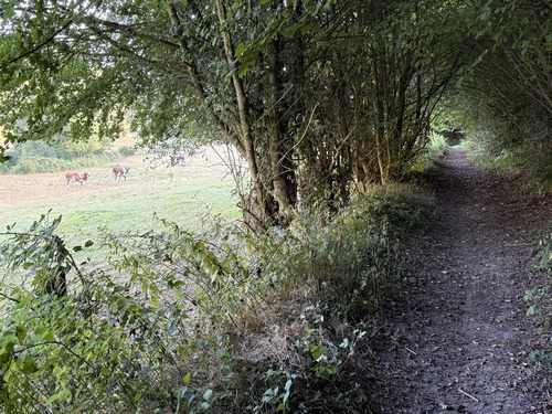 Le chemin suit la Calonne pour rejoindre St-Pierre.