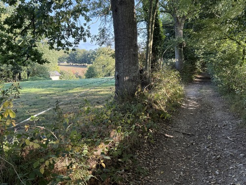 Chemin du Bois de la Vigne.