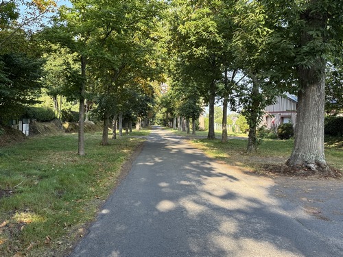 Nous entrons dans les Monts du Bourg (Cormeilles) par l'allée des Marronniers.