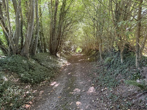 Chemin de la Marmite au Curé.