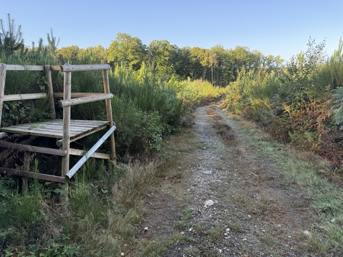 Nous quittons la voie forestière Camille pour tourner ver le sud à ce carrefour de chemins. Comme on le voit, ce circuit est impossible à suivre en période de chasse: nous allons marcher dans la zone de tir de ce poste de chasse.
