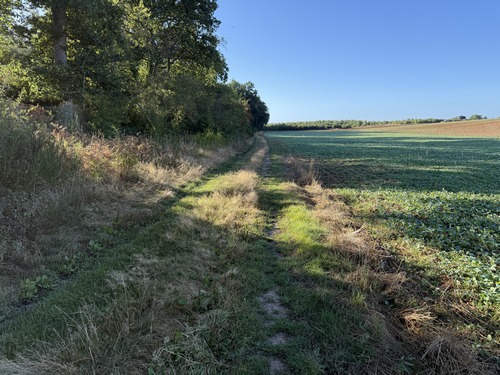 Nous sommes arrivés en lisière de forêt. Sur notre droite se trouve le village des Ventes, point de départ d'une autre de nos randonnées.