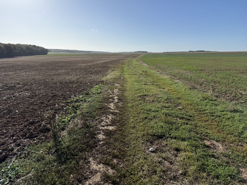 Nous traversons maintenant la plaine du Moulin à Vent. La fin de l'été n'est pas la période la plus agréable pour traverser des plaines agricoles, mais après avoir marché en forêt, c'est agréable d'avoir le regard qui porte au loin.