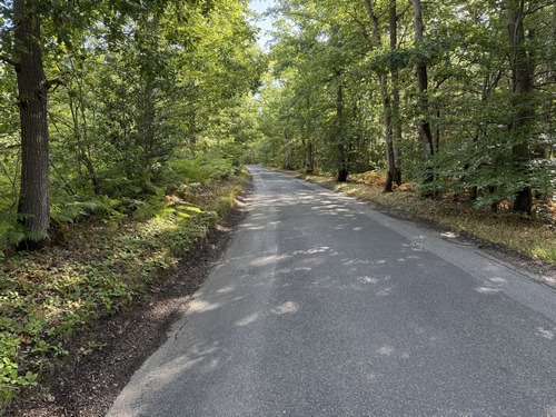Nous fermons la boucle par la rue des Bruyères, rue du stade où sommes garés.&nbsp;
