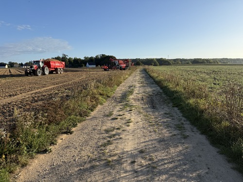 Je sors du bourg, et après le cimetière je marche sur ce chemin en direction de l'Oison. A gauche, on récolte les pommes de terre.