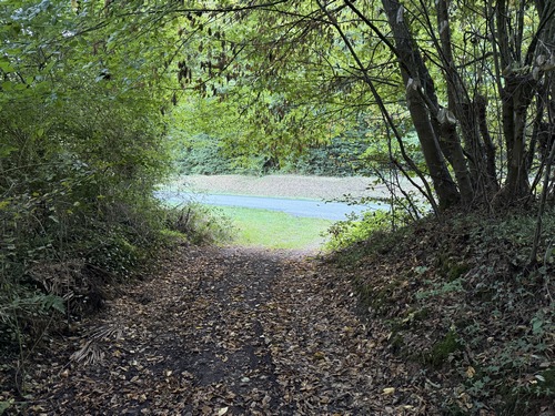 Le chemin du bois débouche sur la D85 que je vais suivre à droite.