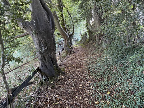 A Saint-Amand, j'ai pris le chemin des Escaliers qui se prolonge par ce sentier et débouchera dans la rue de l'Oison.