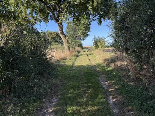 Nouveau petit passage boisé le long du cimetière de Saint-Amand.