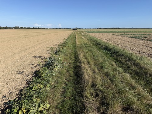Traversée de la plaine agricole qui sépare Saint-Aubin-des-Fresnes de Tourville-la-Campagne. La fin de l'été n'est pas la période idéale pour les balades dans les plaines agricoles.