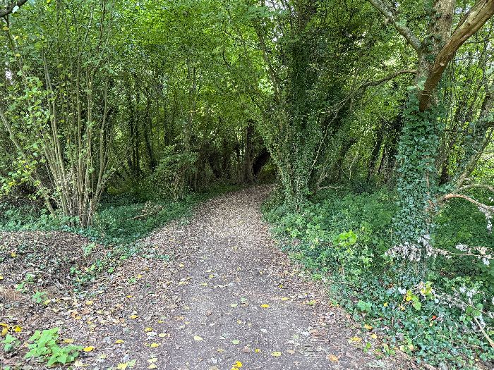 Nous sortons du bourg par le chemin du Ru de Gironde, et après la mare entrons dans ce passage boisé.