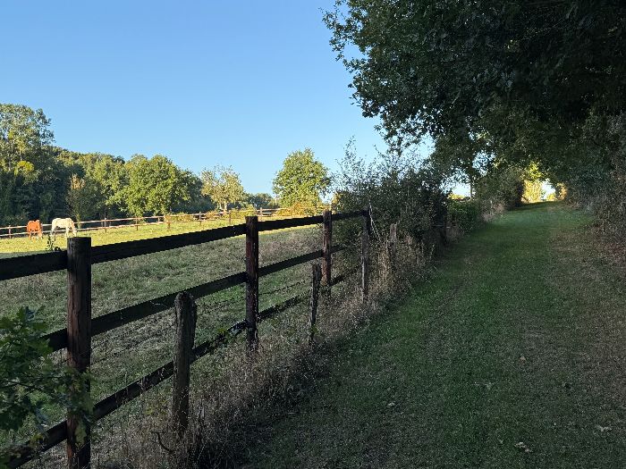 Depuis le départ, les chemins sont vraiment délicieux, et parfaitement entretenus comme on le voit.