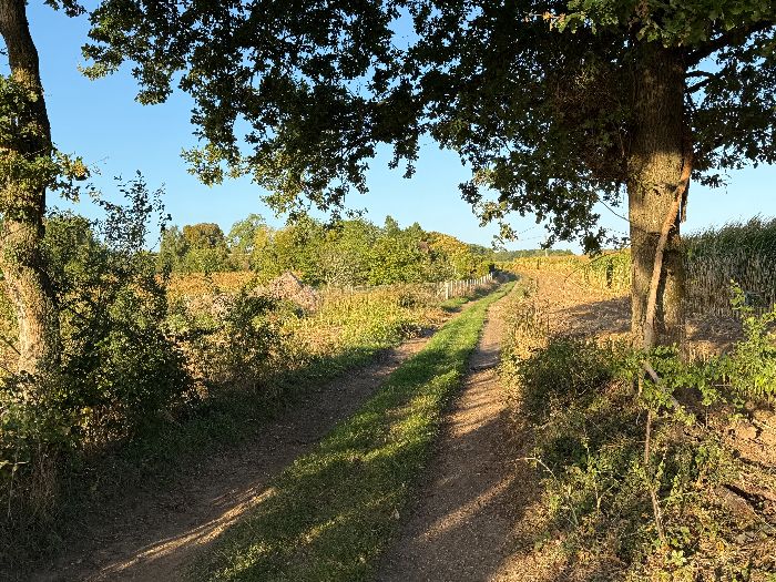 Nous marchons vers le hameau du Froc de Ville.