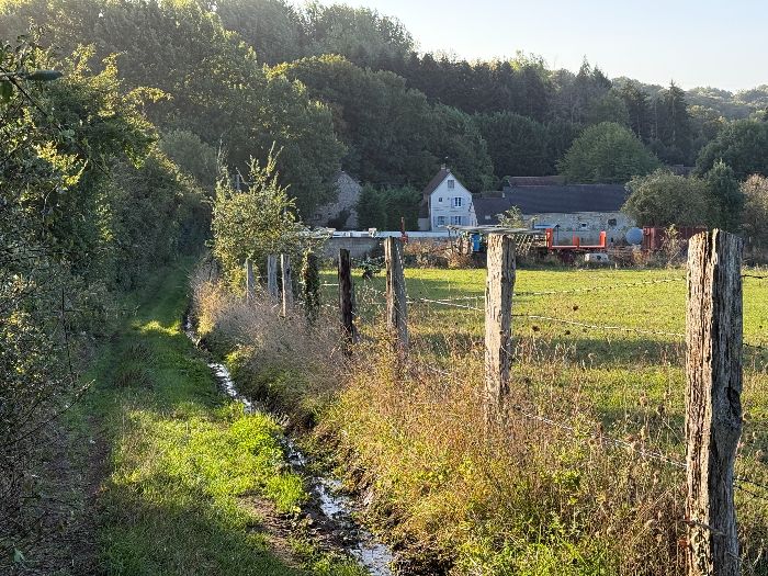 Nous sortons du hameau du Froc de Ville par le chemin du Bois du Buc et arrivons au Fief Cadot. Nous allons monter dans le bois en face.
