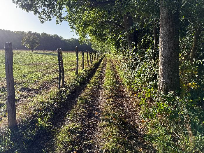 Au sommet de la petite colline, le chemin est toujours aussi agréable, entre bois et plaine agricole.