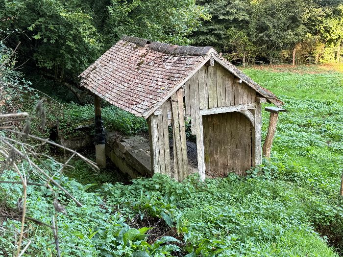 Nous descendons la rue de la Fortelle et remarquons cet ancien lavoir en contrebas de cette petite route.