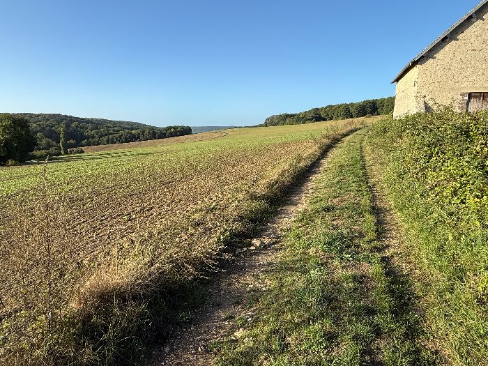 Le chemin traverse la large plaine de la Liègue qui domine le vallon du Ruisseau d'Autheuil.