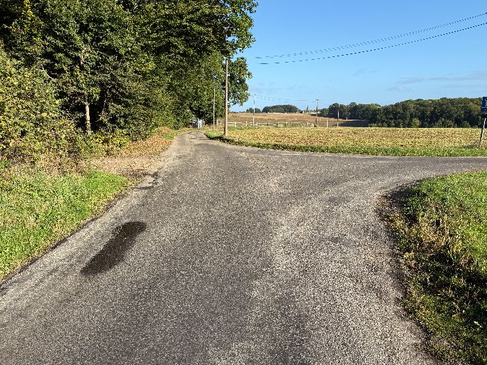 Nous avons rejoint la petite route de la ferme de Bizey, et allons tourner à gauche ici pour entrer dans le bois.