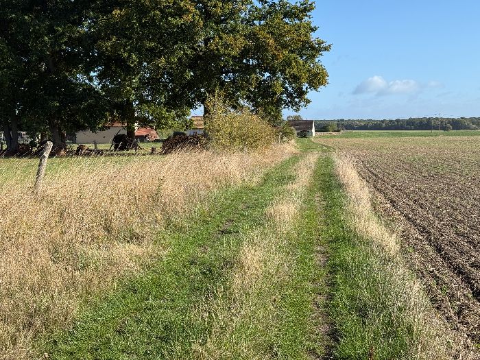 Nous arrivons à proximité du hameau de la Boissaye, nous allons prendre la rue de Bize à droite.
