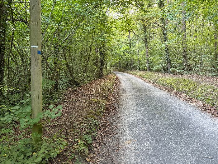 Je monte la petite route du Val Morin, d'autant plus déserte qu'elle ne dessert que la ferme du même nom. La route traverse ici le bois de la Fontaine.