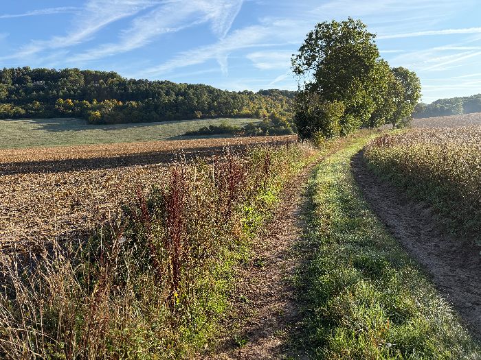Chemin du Val Morin vers Botremare.