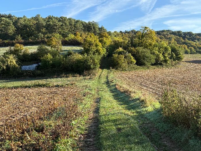 Le hameau de Botremare se trouve sur une petite colline dont les flancs portent des noms de vignes (Vigne Noire, Mont des Vignes).