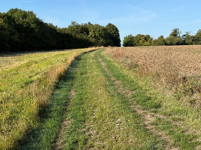 La traversée du hameau est rapide, et je retrouve rapidement les chemins.