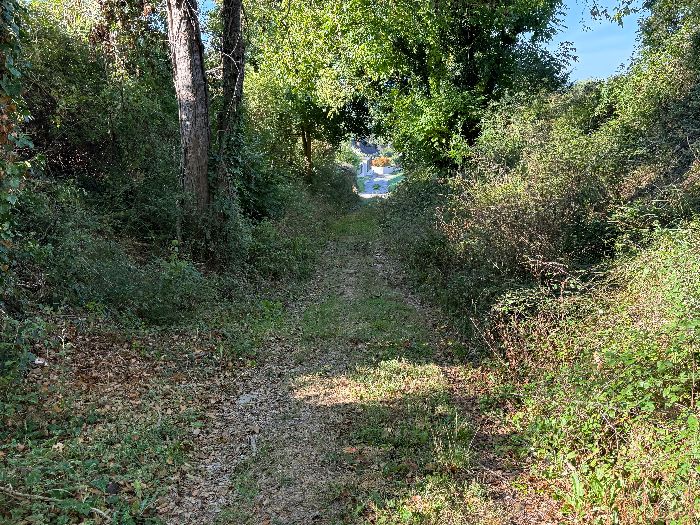 Le chemin de descente longe le bois du Bouleau