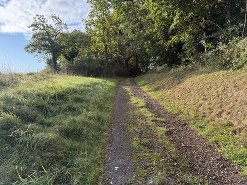 Le chemin est parallèle à la D115E.