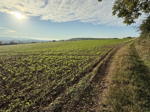 Le chemin domine ici le coteau de la vallée de l'Eure.