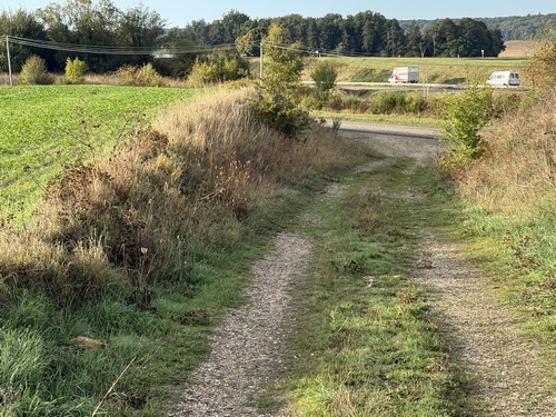 Le chemin retrouve la D115E pour passer au dessus de la N154 et traverser la D115.