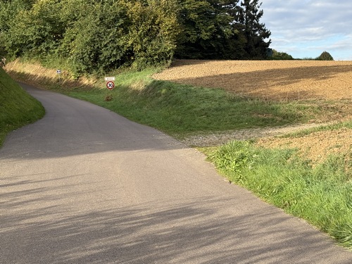 Un peu avant le panneau de Boos, je prends ce chemin à droite.