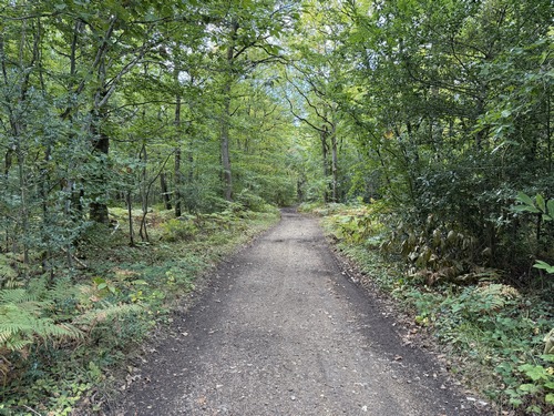 Je sors de Boos par le chemin de la Chapelle, et traverse les bois de la Grande Plesse et de la Saint Richard.&nbsp;
