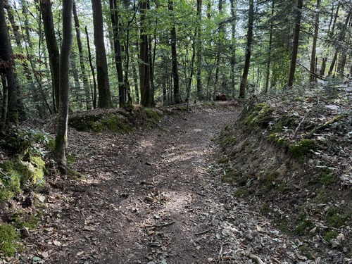 Ce chemin s'appelle aussi le chemin de la Chapelle. Il descend vers le village des Faulx.