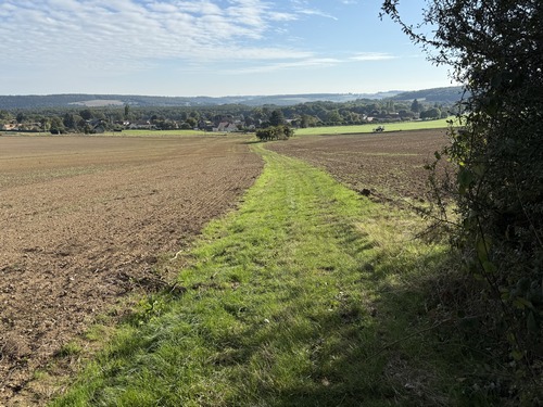 Sortie du bois, on devine Faulx en face, je vais continuer tout droit dans le village en traversant la D155.