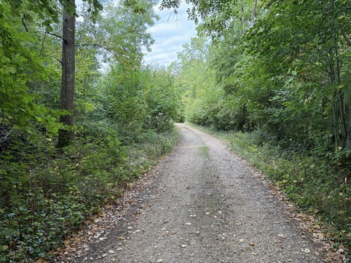 Le pont débouche sur un chemin qui rejoint ce chemin de la Côte de la Londe.