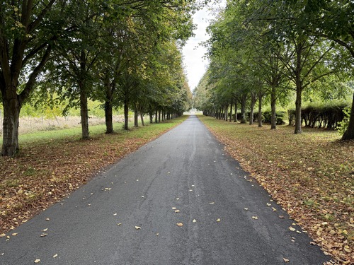 Le chemin de la Côte de la Londe rejoint l'entrée d'Heudreville. J'entre dans le bourg par cette allée, la rue des Tilleuls, qui se dirige vers le manoir d'Heudreville.