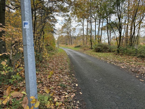 Au sommet, le balisage bleu nous indique de quitter la rue de la Forge pour suivre les chemins dans les bois.