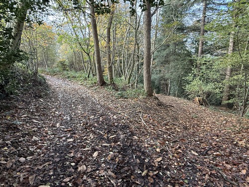 Nous changeons de direction en tournant ici à gauche pour longer le coteau ouest de la colline.